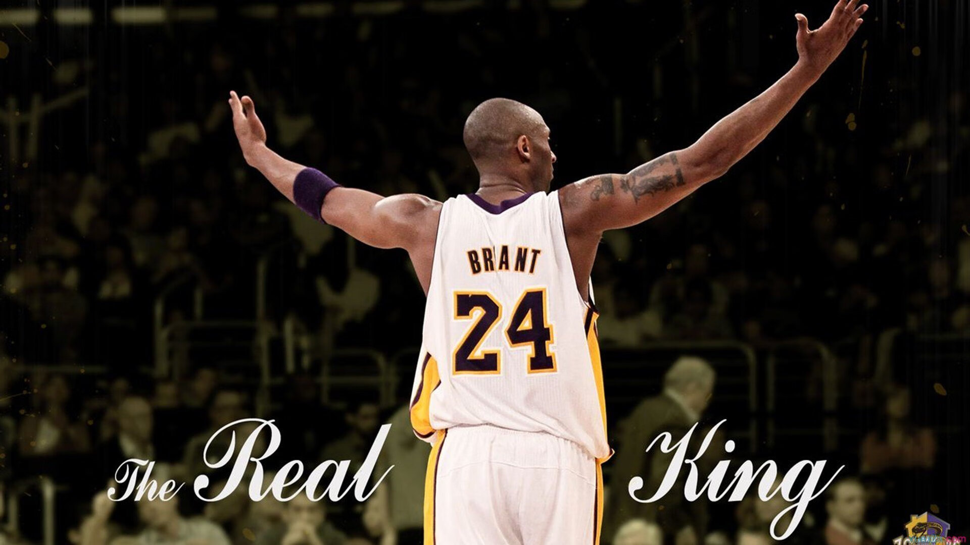 跑跑卡丁车“极速争霸赛”引发全场热潮,跑跑卡丁车端游竞速